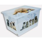 Vileda Qutu Kedi Köpek Saklama Kutusu