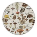 Vintage Renkli Mantar Posteri Eğitim Tablosu Su Geçirmez Küçük Yuvarlak Fare Altlığı, 7,9 x 7,9 inç Kaymaz Kauçuk Taban Dekoratif Mousepad Yurt Ofis Ev Masası Dekoru için, Mantar Severler Öğrenciler