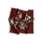 VİOLLA Soft Çember ve Zebra Desenli Bordo Renkli 90x90 Eşarp (İpek İçermez) Kenar Dikiş Şekli El Dikişli