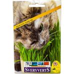 Vipfoni Kedi Otu Tohumu - 1 Adet