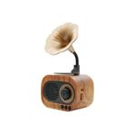 Viponline B5 Nostaljik Mini Gramafon Radyo Usb Aux Bluetooth Radyo Yüksek Ses Kalitesi