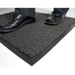 Viptek Aquaslim Nem Alıcı Toz Kontrol Kapı Önü Paspası (509972256)
