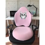 Visco Gamer Oyuncu Bel Yastığı ve Yuvarlak Oturma Minderi 2'li Set Pembe Kedi