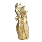 Vitale Papağan Gold Biblo Ak.id0120 Çok Renkli