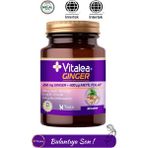 Vitalea Ginger 30 Tablet - 1