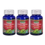 Vitapol Ginkgo Biloba Lecithin 3x100 Kapsül