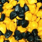 Vitasand REF-185 350 gr Sarı Siyah Fanus Çakılı