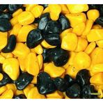 Vitasand REF-185 350 gr Sarı Siyah Fanus Çakılı