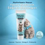 Vitpaw Kitten Paste 100 Gr (Yavru ve Hamile/Emziren Anne Kediler İçin Bağışıklık ve Eklem Sağlığı Desteği) Yüksek Vitamin & Kalsiyum