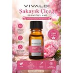 Vivaldi Home Şakayık Çiçeği Aromaterapi Esansiyel Yağ – Doğal ve Zarif Aroma - Standart