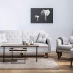 Vivense Collection Terra Krem Koltuk Takımı
