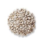 Vivid Aspir Tohumu 500g (BEYAZ MİNİ ÇEKİRDEK GÜVERCİN YEMİ)