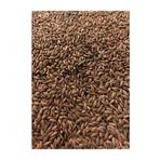 Vivid Aspur 1 kg