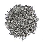 Vivid Bird-Çizgili Küçük Alaca Çekirdek Papağan Yemi 1 Kg