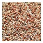 Vivid Bird Muhabbet Yemi 1 kg