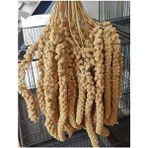 Vivid Bird Sarı Dal Darı 500 gr Çubuk Kuş Yemleri İçin Özel Besleyici İçerik