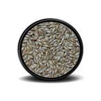 Vivid Bird Vivid Sade Kanarya Yemi Aspur 500 gr