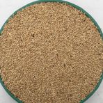 Vivid Kanarya Kuş Yemi Sade Aspur 10 KG