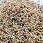 Vivid Muhabbet Kusu Yemı 1Kg