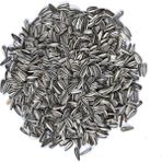 Vivid Papağan Çekirdek 1kg