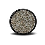 Vivid Sade Kanarya Yemi (Aspur) 250gr
