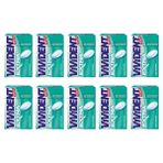 Vivident 21 gr Extra Nane Aromalı Sakız