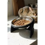 Vivie Tasarım Pixi Kedi Mama Kabı Standı – %13 Eğimli Ergonomik Tasarım, Petg Gövde + Paslanmaz Çelik Kase - Siyah