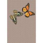 Viyana Home VHÇ-HY-1367 Dijital Baskılı Kaymaz Taban Modern Kelebekli Kahverengi 60x100 cm Çocuk Odası Halısı