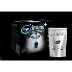 Viyo 14 x 30 ml Reinforces All Ages Tüm Yaş Grubu Köpekler İçin Gıda Takviyesi