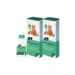 Viyo Recuperation 2x150 ml Kedi Besin Takviyesi