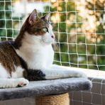 viyolmarketim 1,5 mm Kalın Balkon Filesi 2,5x3 Metre Kedi Filesi Kedi Balkon Filesi Güvenlik Ağı Montaj Setli