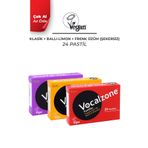 Vocalzone Klasik Pastil 24'li + Vocalzone Ballı Limonlu Pastil 24'li + Vocalzone Frenk Üzümlü (Şekersiz) Pastil 24'li