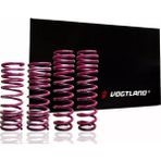 Vogtland 956149 Volkswagen Golf 7-Audi A3 8V-SEAT Leon Mk3 1.0 Tsı-1.2 Tsı 45MM Spor Yay