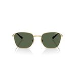 Vogue Eyewear Erkek Vo4322s Kare Güneş Gözlüğü, Altın/Koyu Yeşil Polarize, 53 mm