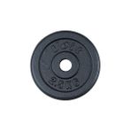 Voit 1VTASPL101 2.5 kg Siyah Unisex Flanş Ağırlık