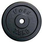 Voit PL101 7.5 Kg Döküm Flanş