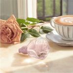Volare Tender Liçi Latte ve Misk Notalı Çiçeksi Kadın PARFÜMÜ(%100 Orjinal,barkodlu)