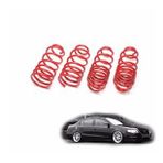 Volkswagen Passat spor yay helezon 30mm/30mm 2005-2011 Coil-ex