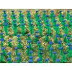 Vollmer Aster Çiçeği 1:87 Ölçek N:5117 Maket