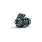 Volt Elektrik Motoru 0,37 Kw 4p 1500 D/d Trf. 71 2/4V Ie2 B34 Yy (VOLV2EA71M4BB3440YY)