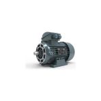 Volt Elektrik Motoru 1,1 Kw 4p 1500 D/d Trf. 90 2/4V Ie3 Yy B34 (VOLV3EA90S4CB3440YY)