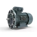 Volt Elektrik Motoru 1,5 Kw 1500 D/d TRF.90L 2/4V B35 Yy (VOLV3EA90L4AB3540YY)