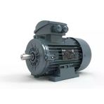 Volt Elektrik Motoru 4 Kw 4P 1500 D/D Trf 112 4/6V Ie3 Yy (Volv3ea112m4db340yy)