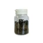 Vona CY-302 Plastik Kapsül Vites