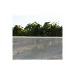 Vonkap Plastik Dekoratif Bahçe Çiti / Balkon Filesi / Kedi Filesi 1mt*3mt 10mm*10mm Göz Aralığında