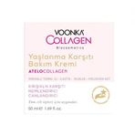 Voonka 8683655089068 Biocosmetics 50 ml Yaşlanma Karşıtı Bakım Kremi