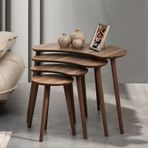 VOVVAHOME MOON 4LÜ DÖRTLÜ MDF AHŞAP ZİGON SEHPA - CEVİZ