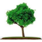 Vox Art VA54A-5 1:100 Ölçek 5 cm 2'li Maket Ağaç