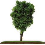 Vox Art VA59A-5.5 1:100 Ölçek 5.5 cm 2'li Maket Ağaç
