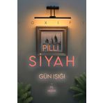 Voxify Pilli Mat Gün Işığı Kuğu Aplik Ayna Üstü Aydınlatma Duvar Tablo Aydınlatma Dekorasyon